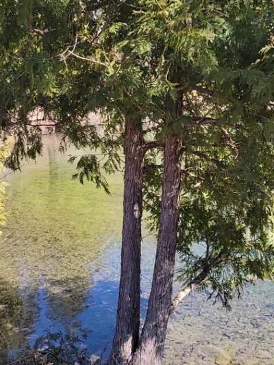 Perry Springs Park and Fish Hatchery - Manlius, NY