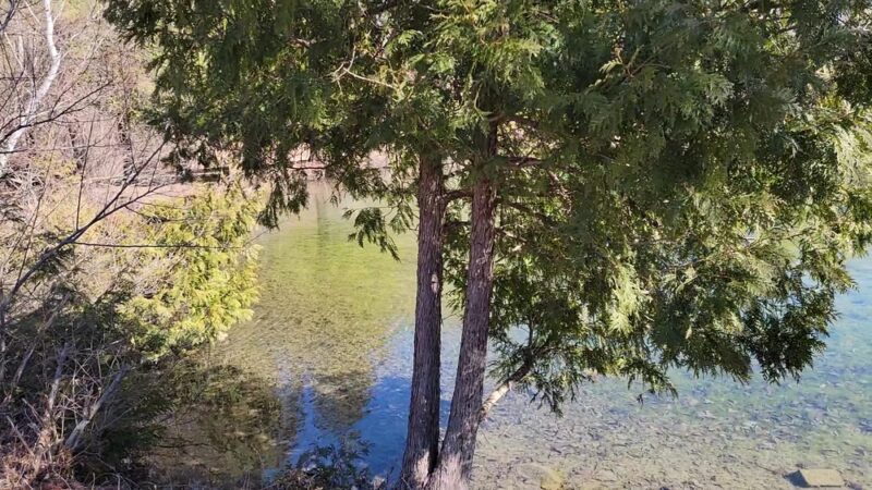 Perry Springs Park and Fish Hatchery - Manlius, NY