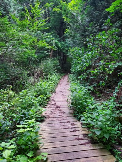 Perry Springs Park and Fish Hatchery - Manlius, NY