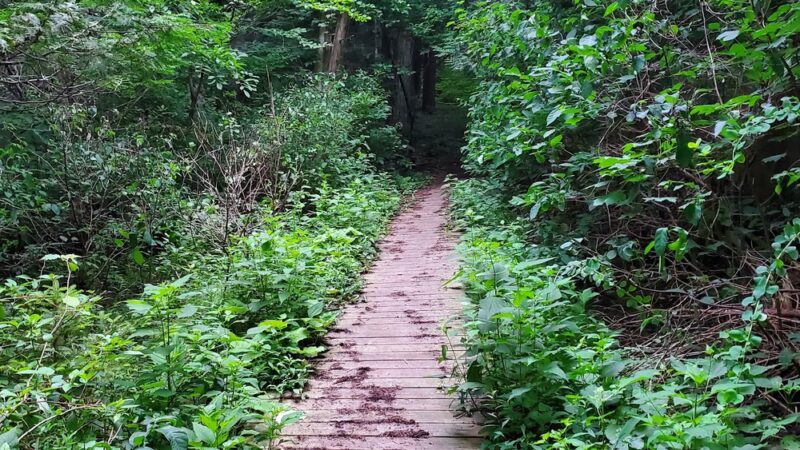 Perry Springs Park and Fish Hatchery - Manlius, NY