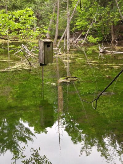 Perry Springs Park and Fish Hatchery - Manlius, NY