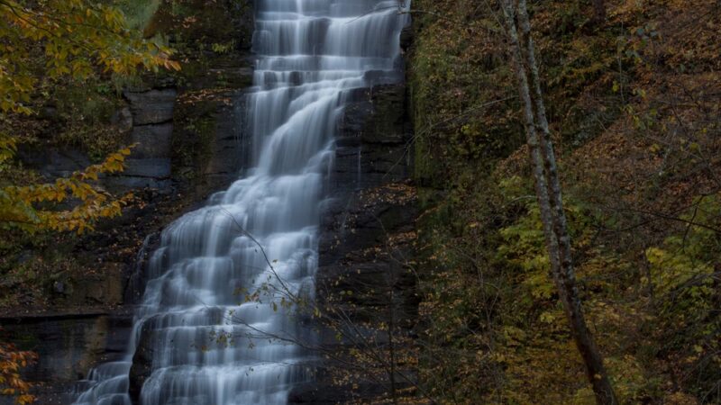 Pratts Falls Park - Manlius, NY
