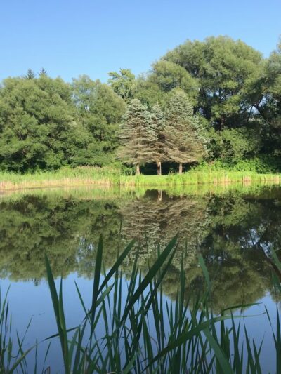 Pratts Falls Park - Manlius, NY