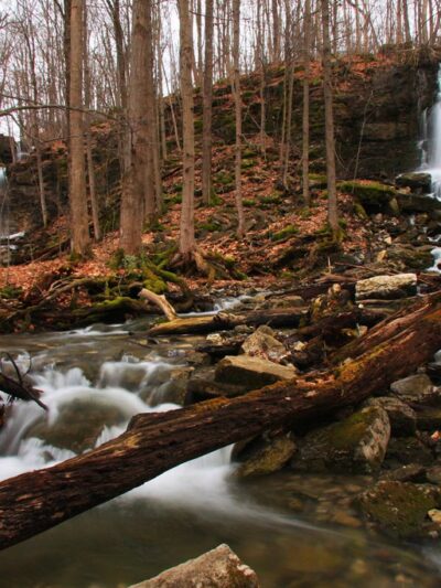 Three Falls Woods - Manlius, NY