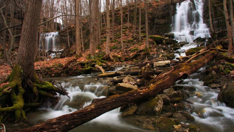 Three Falls Woods - Manlius, NY