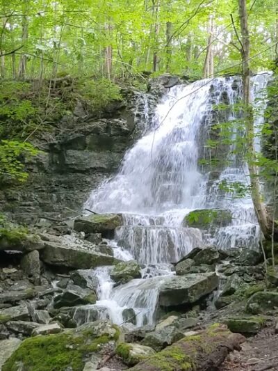 Three Falls Woods - Manlius, NY