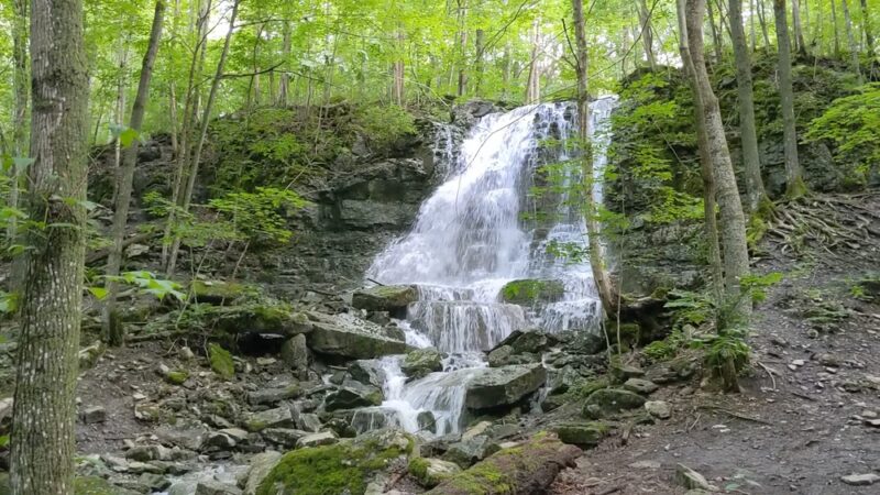 Three Falls Woods - Manlius, NY