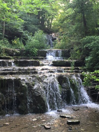 Three Falls Woods - Manlius, NY