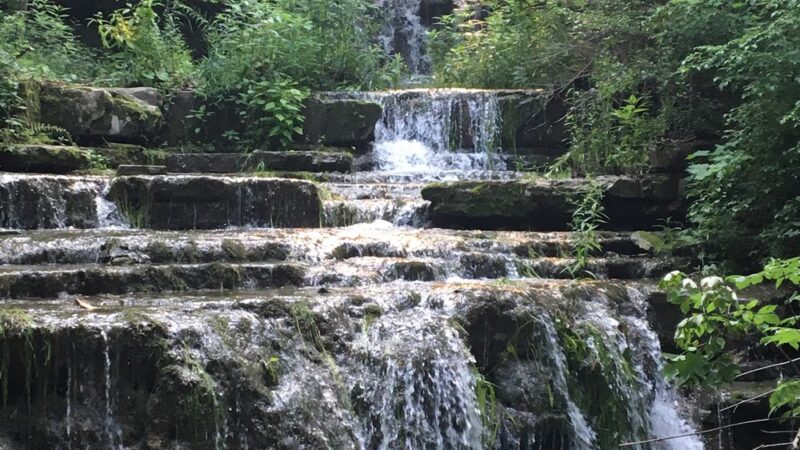 Three Falls Woods - Manlius, NY