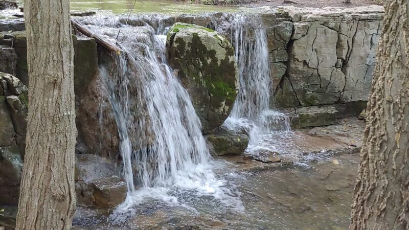 Three Falls Woods - Manlius, NY