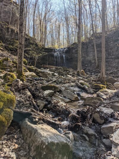 Three Falls Woods - Manlius, NY
