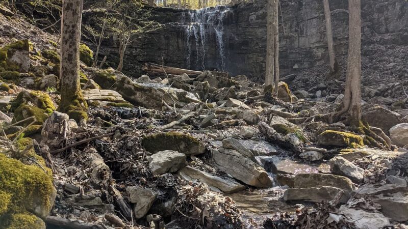 Three Falls Woods - Manlius, NY
