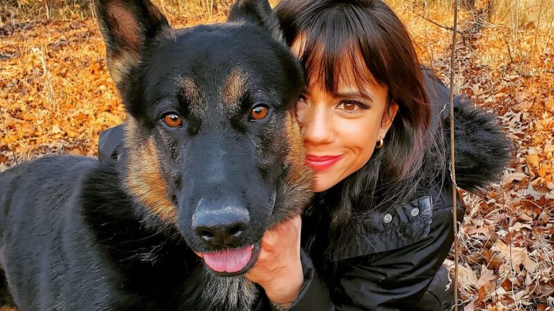 Howl at the Moon Dog Lodge - Mannford, OK