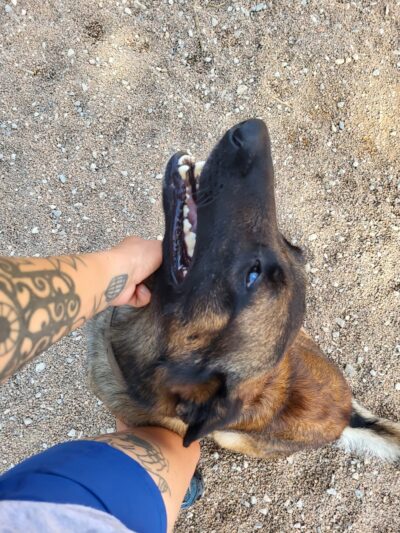 Howl at the Moon Dog Lodge - Mannford, OK