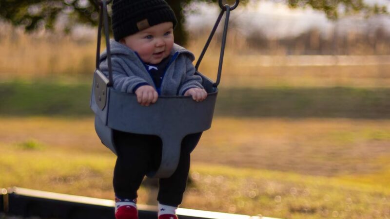 Carriage Hills Park - Manor, TX