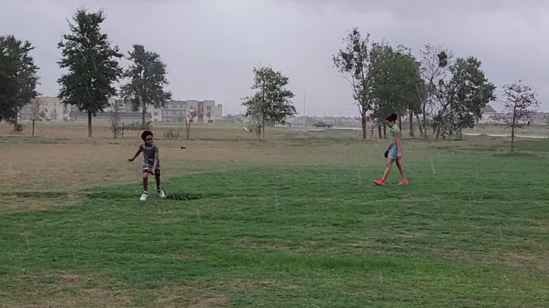 Timmermann Park - Manor, TX