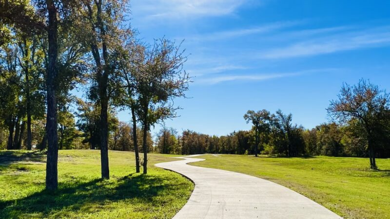 Timmermann Park - Manor, TX