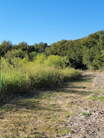Woodlands Park Nature Trail - Manor, TX