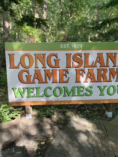 Long Island Game Farm Wildlife Park & Children's Zoo - Manorville, NY