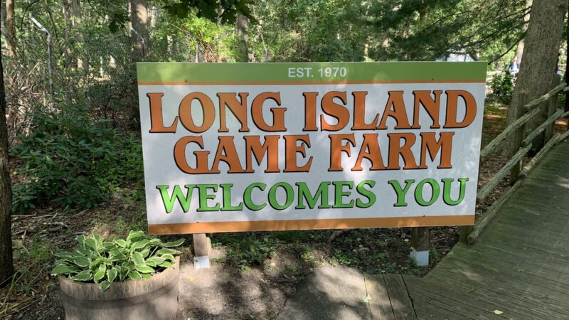 Long Island Game Farm Wildlife Park & Children's Zoo - Manorville, NY