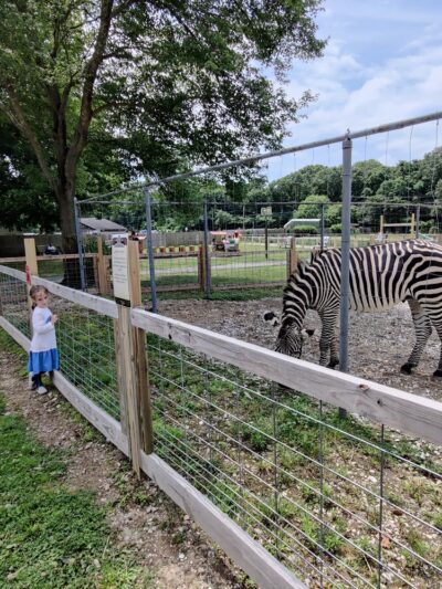Long Island Game Farm Wildlife Park & Children's Zoo - Manorville, NY