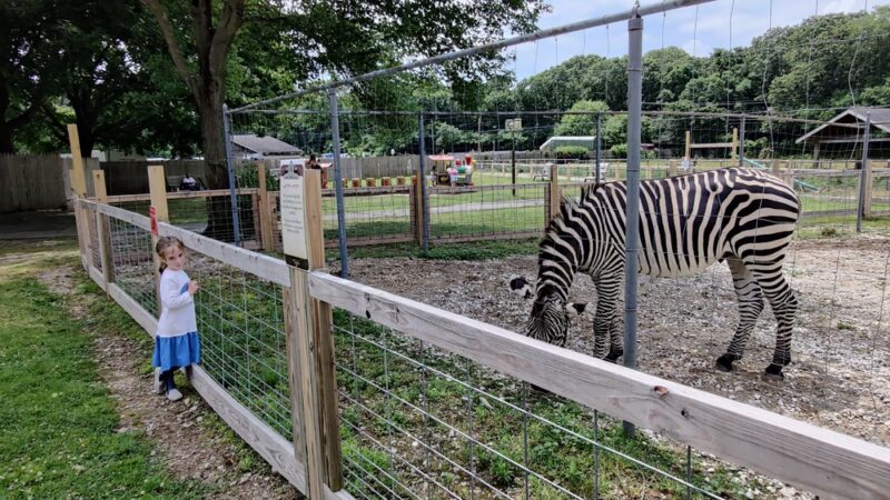 Long Island Game Farm Wildlife Park & Children's Zoo - Manorville, NY