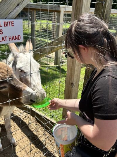 Long Island Game Farm Wildlife Park & Children's Zoo - Manorville, NY