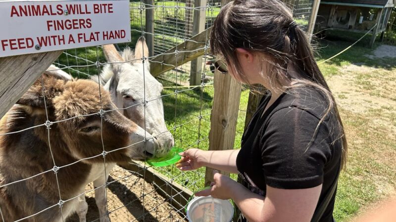 Long Island Game Farm Wildlife Park & Children's Zoo - Manorville, NY