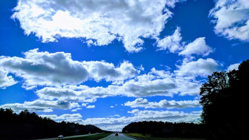 Long Island State Pine Barrens Preserve - Manorville, NY