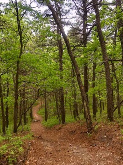 Manorville Hills County Park - Manorville, NY