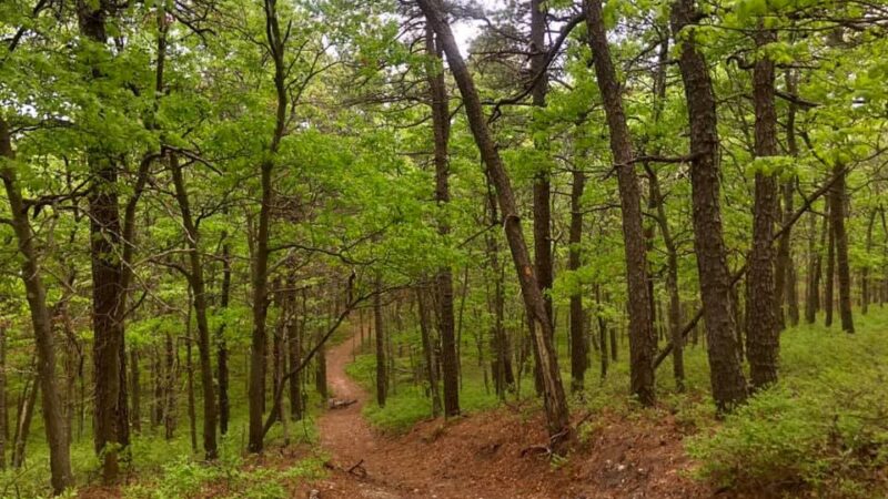 Manorville Hills County Park - Manorville, NY