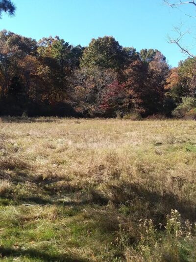 Manorville Hills County Park - Manorville, NY