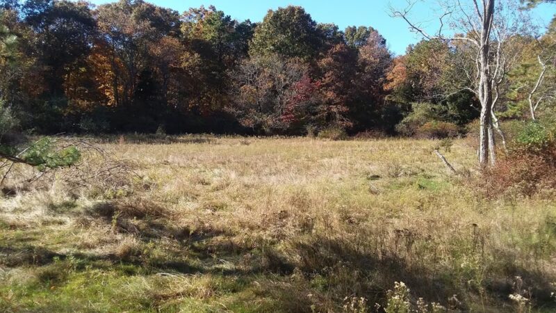 Manorville Hills County Park - Manorville, NY