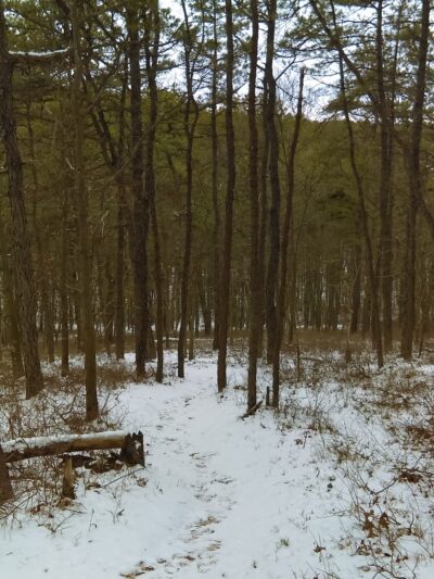 Manorville Hills County Park - Manorville, NY