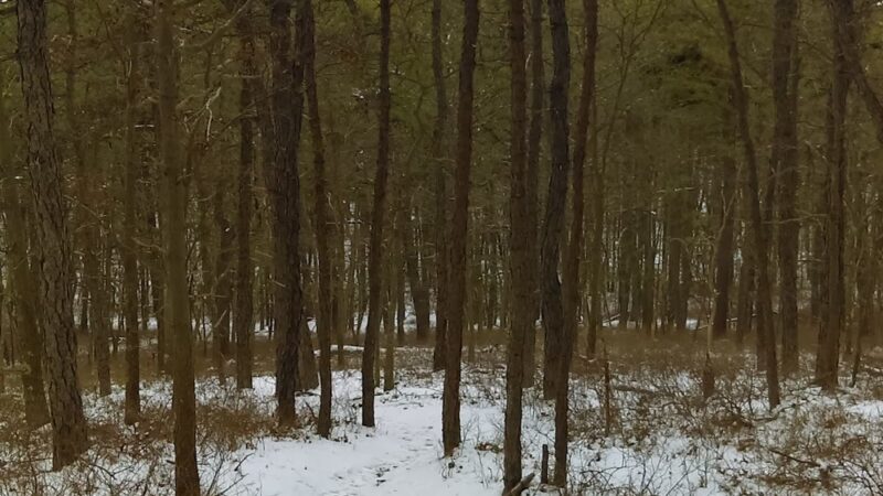 Manorville Hills County Park - Manorville, NY