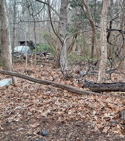 Pine Barrens Trail Outdoor Center - Manorville, NY