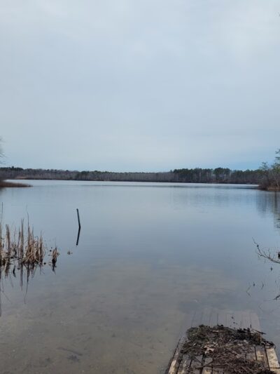 Robert Cushman Murphy County Park - Manorville, NY