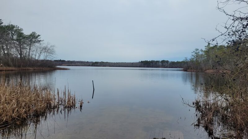 Robert Cushman Murphy County Park - Manorville, NY