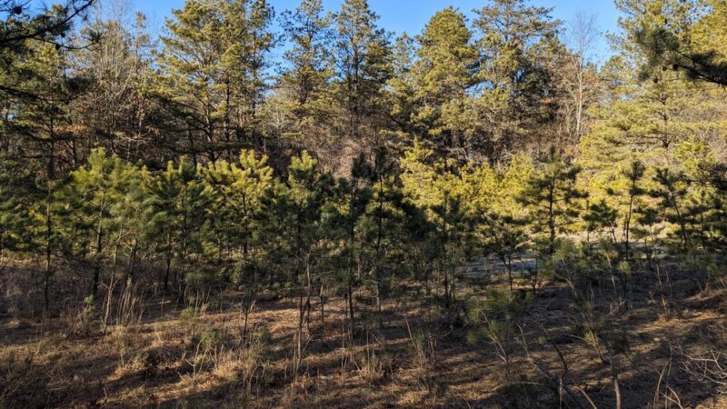 Manorville Hills County Park Parking Lot - Manorville, NY