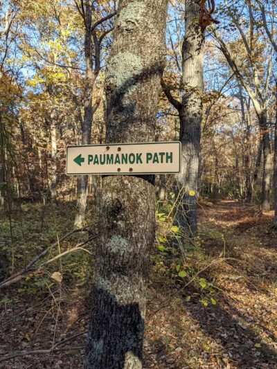 Manorville Hills County Park Parking Lot - Manorville, NY