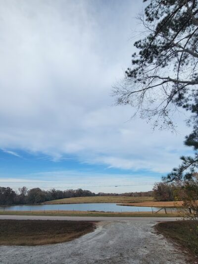 Cricket Frog Trail Parking - Mansfield, GA