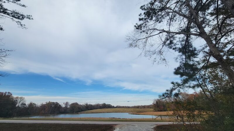 Cricket Frog Trail Parking - Mansfield, GA