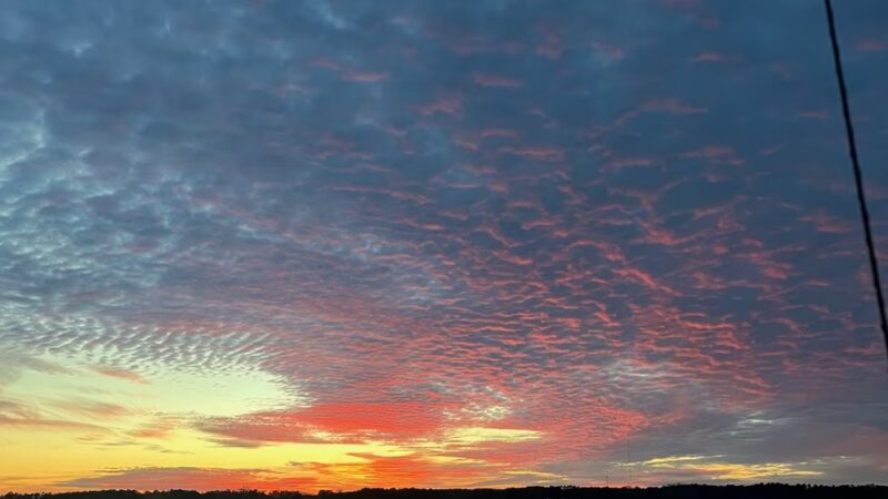 Kimball Point Campground - Manson, NC