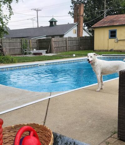 Nelis' run & swim retreat - Manteno, IL