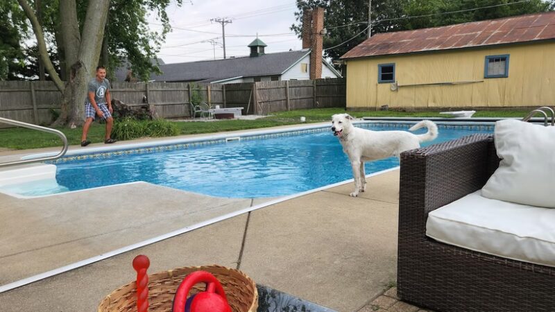 Nelis' run & swim retreat - Manteno, IL