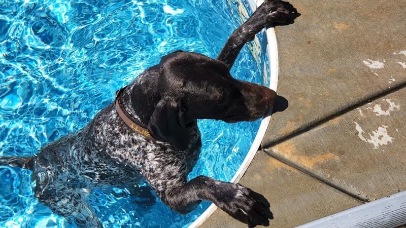 Nelis' run & swim retreat - Manteno, IL