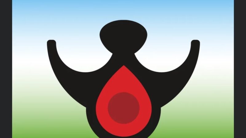 Nelis' run & swim retreat - Manteno, IL