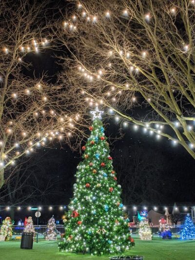 The Square on Second - Manteno, IL