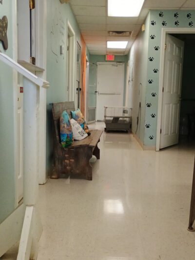 Sabine Parish Animal Shelter - Many, LA