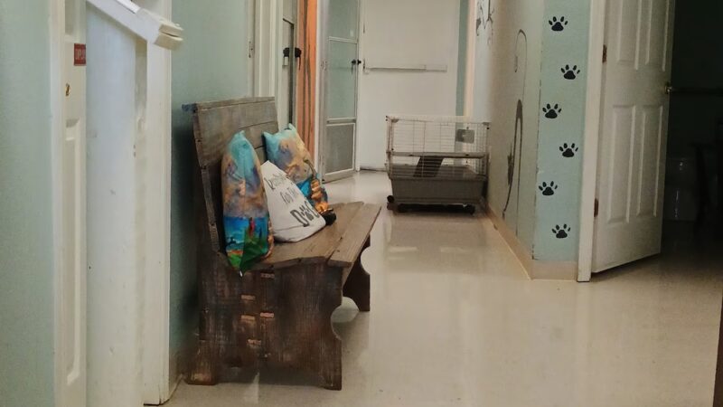 Sabine Parish Animal Shelter - Many, LA